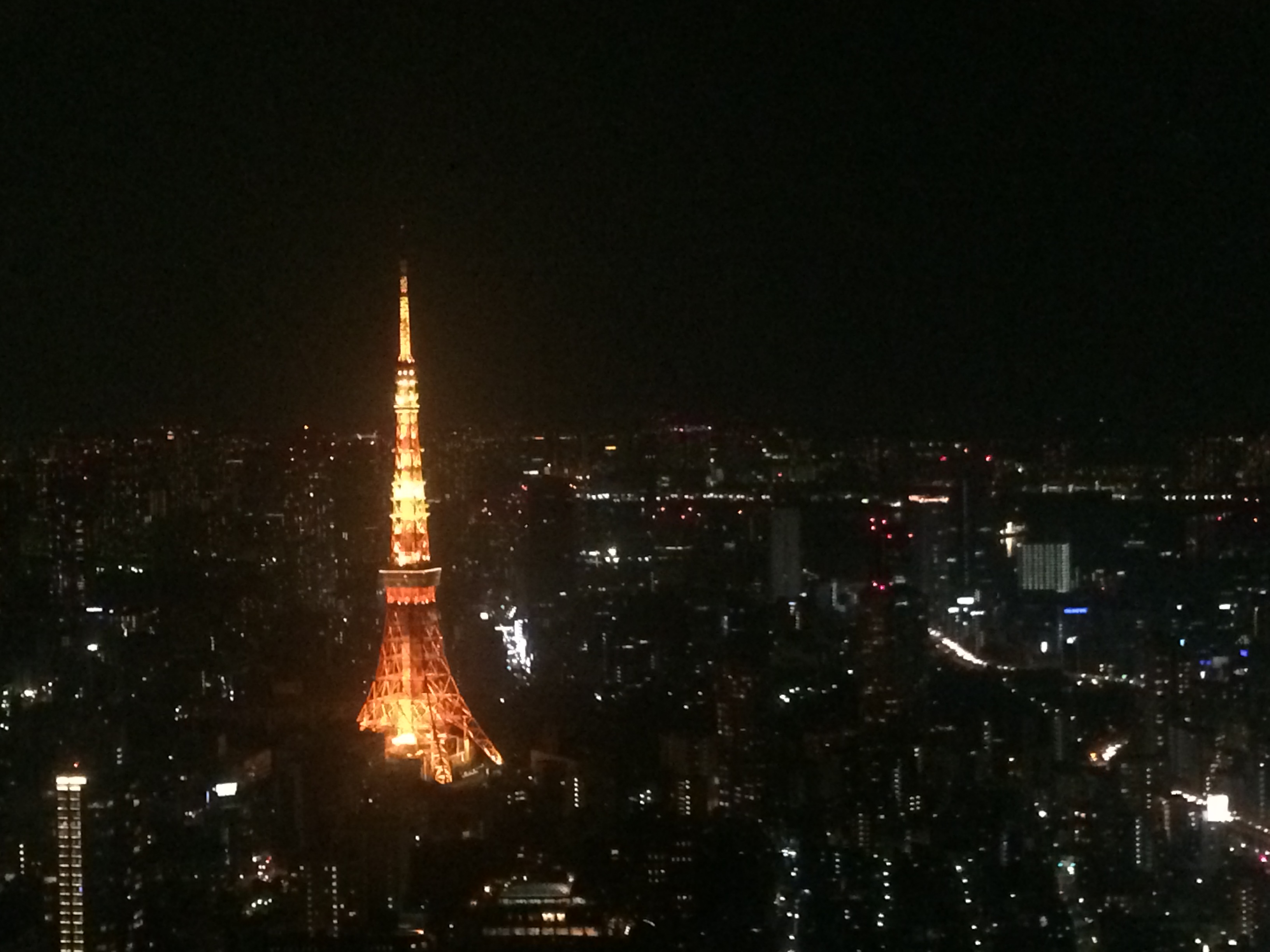 085.JPG : 일본 타워 직찍