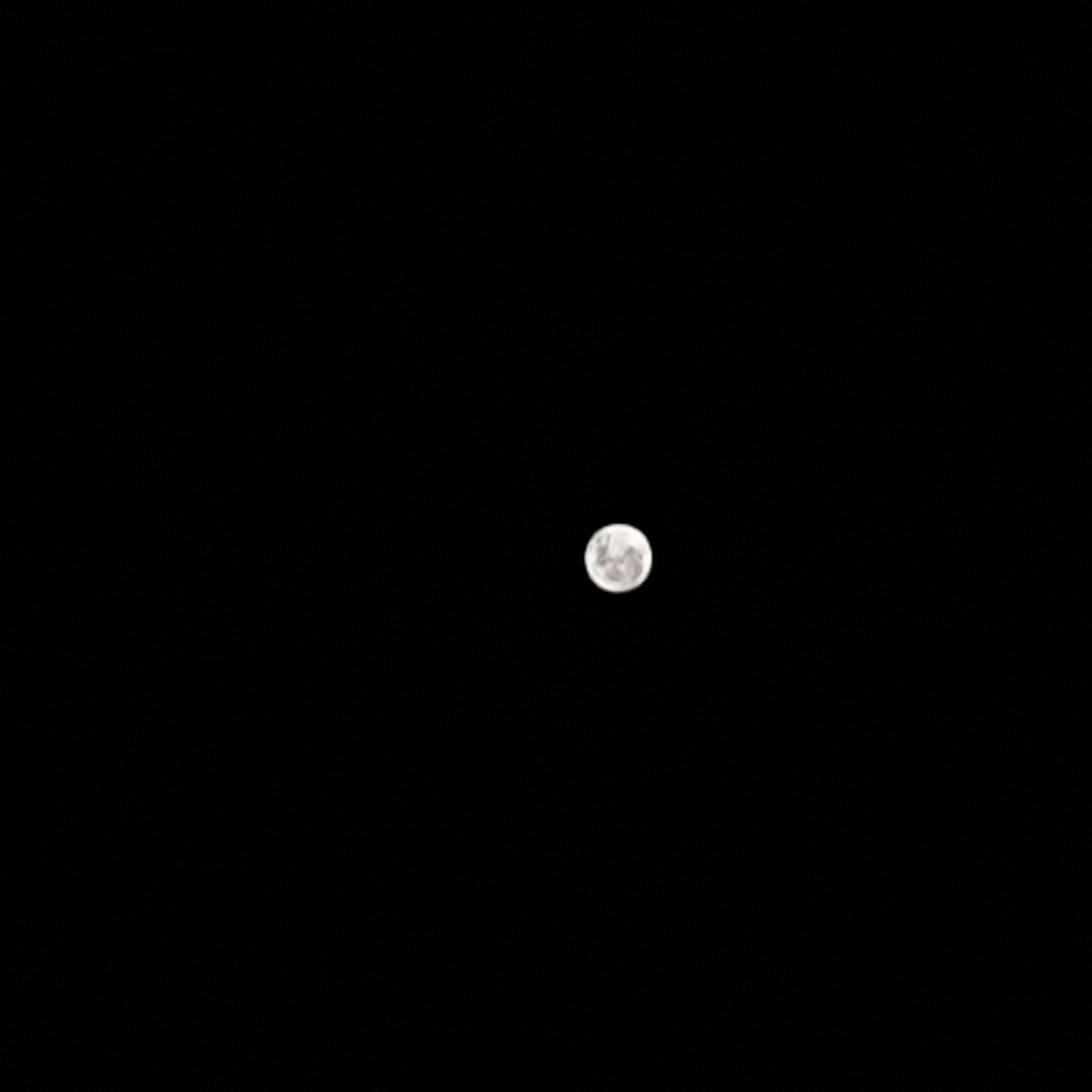 20191212_182809.jpg : 둥근 달