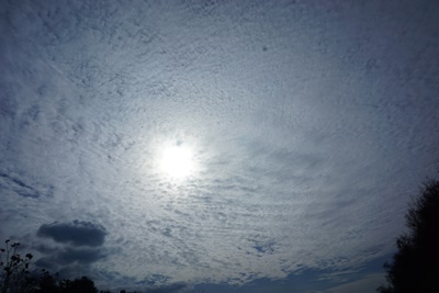 123.JPG : 운전 중 하늘을 보니 구름이 예술입니다.