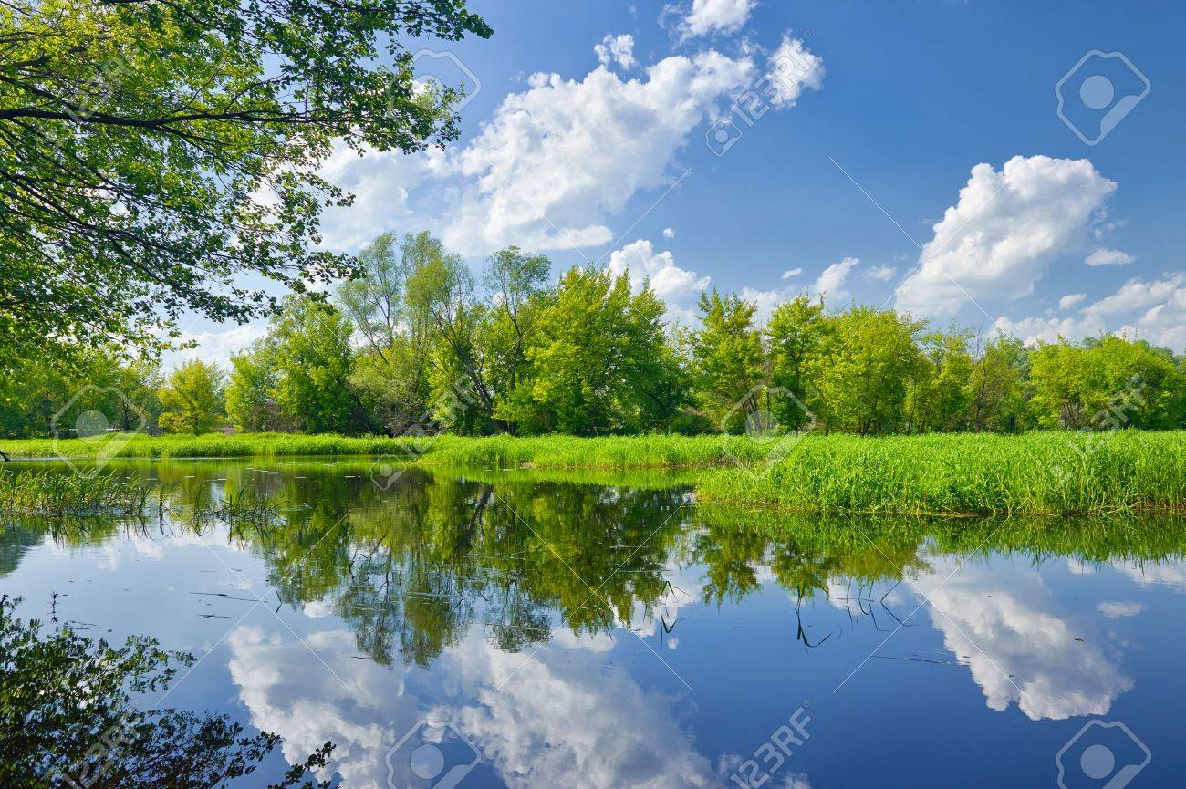 17101750-푸른-하늘에-narew-강-__구름과-여름-풍경.jpg