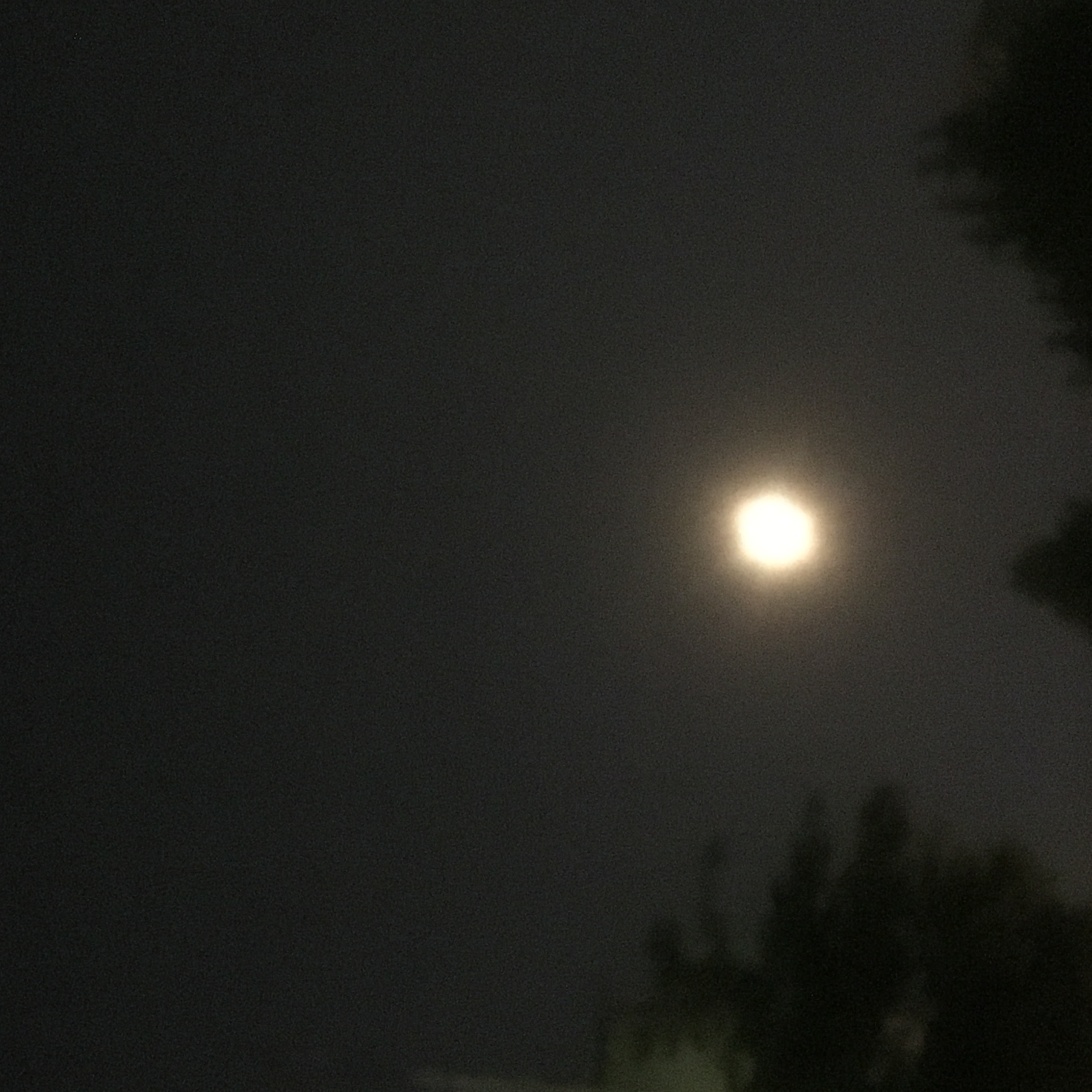 image.jpeg : 보름달
