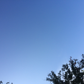 푸른 하늘이에요
