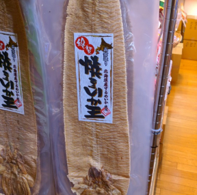 일본의 흔한 오징어 ㅎㅎ