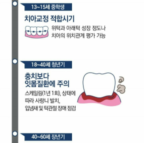 연령별 치아관리
