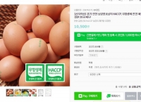 [네이버쇼핑] 닭이 되는 유정란 20구 (10,500/무료)