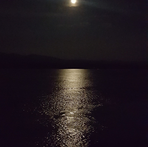 메콩강 달빛