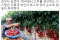 한국과 중국의 고추 농사.jpg