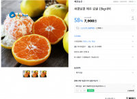 [G마켓] 새콤달콤 제주 감귤 15KG내외 (7,900원/무료)