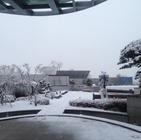 올해 첫 눈을 기다리며 작년에 눈 오는 회사 옥상풍경 올려봅니다^^