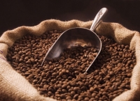 유용한 커피 원두 찌꺼기 활용법