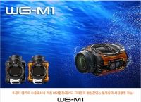 [옥션]리코 WG-M1 액션캠코더 10m방수카메라 F2.8  (189,000/무료)