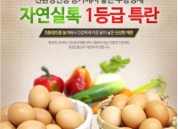 [G마켓] 하림 자연실록 친환경무항생제 계란 40구 특란 (9,900/무료)
